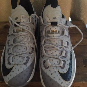 Nike Lebron James 13 Cool Grey Men's Sneakers